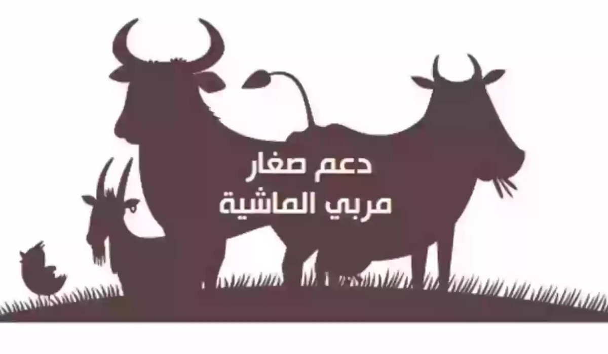 دعم المواشي