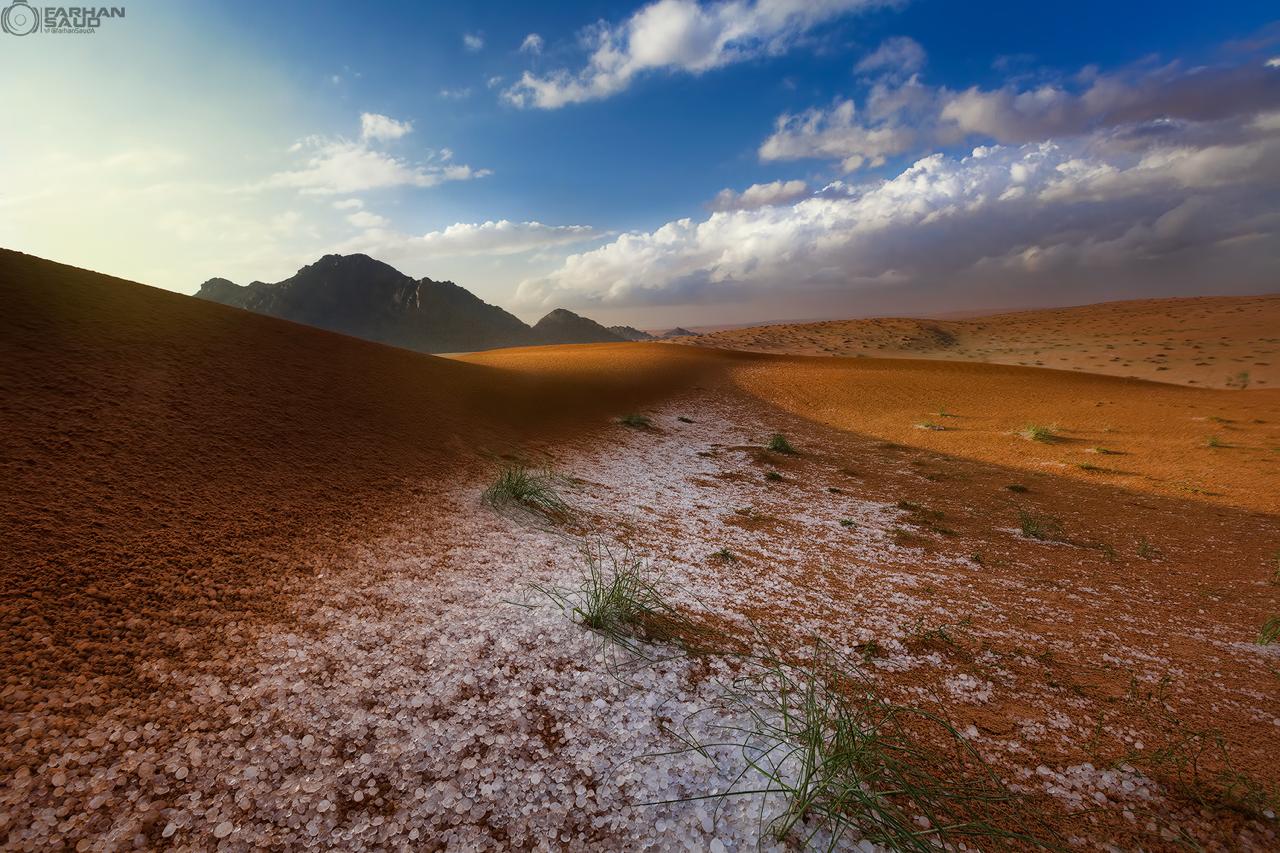 محمية الملك سلمان بن عبدالعزيز الملكية