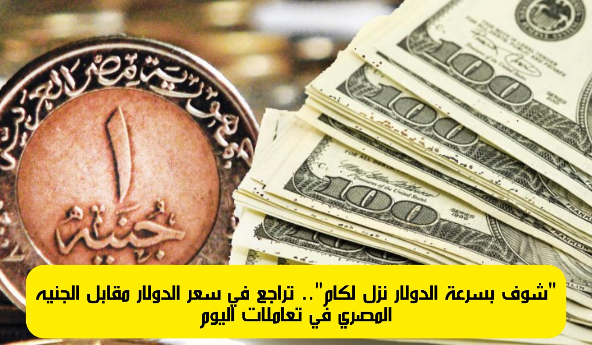 سعر الدولار أمام الجنيه المصري،سعر الدولار مقابل الجنيه المصري اليوم،سعر الدولار اليوم 