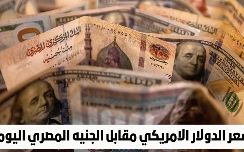 سعر الدولار اليوم مقابل الجنيه المصري