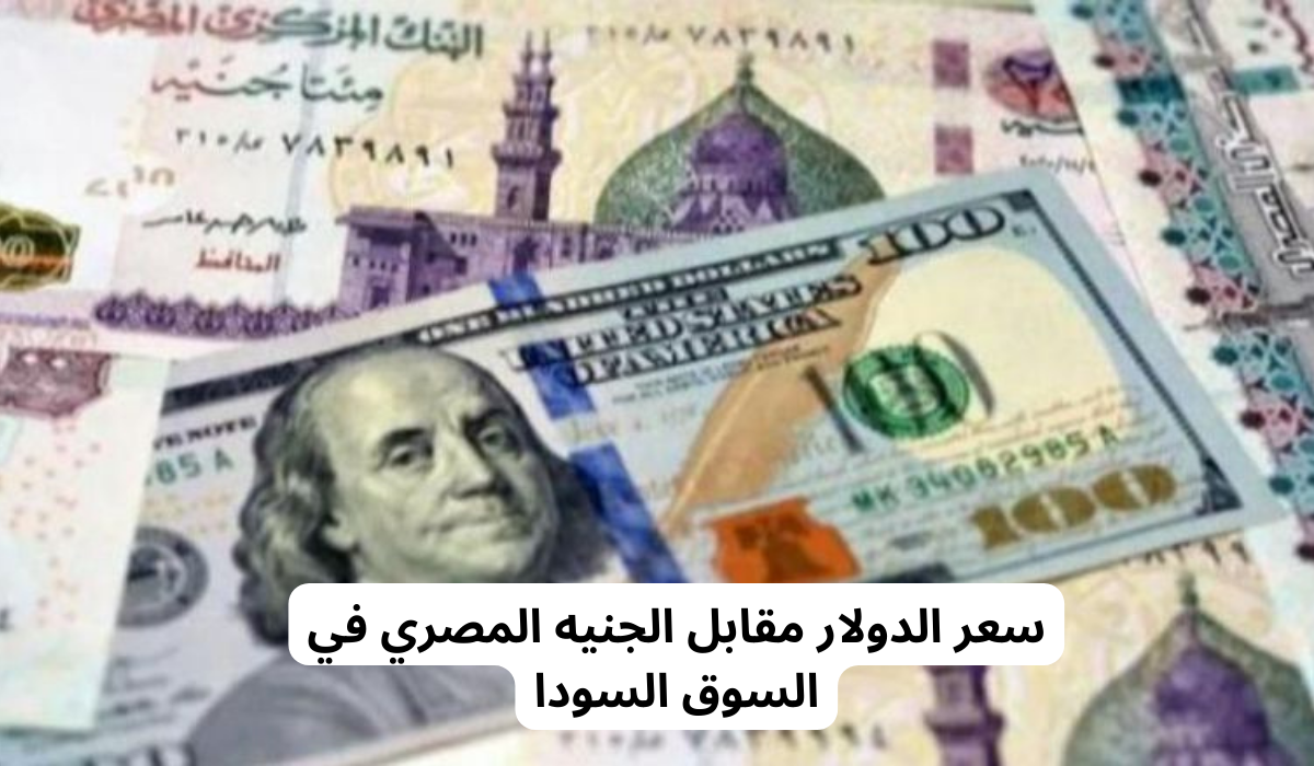  سعر الدولار مقابل الجنيه المصري اليوم 