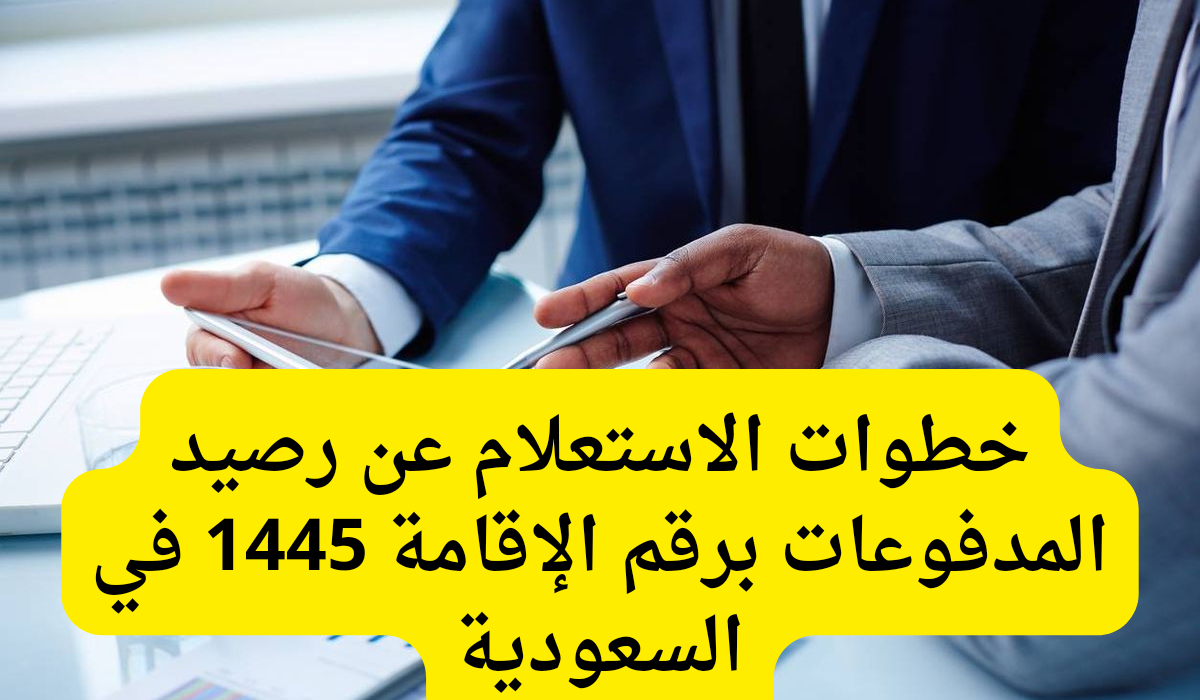 الاستعلام عن رصيد المدفوعات 