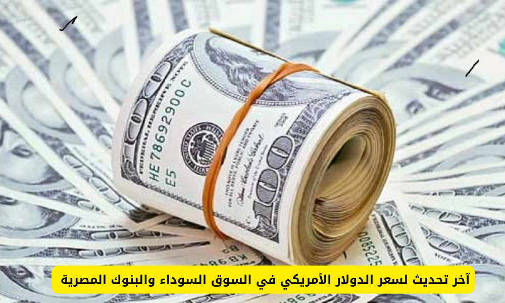 سعر الدولار مقابل الجنيه المصري