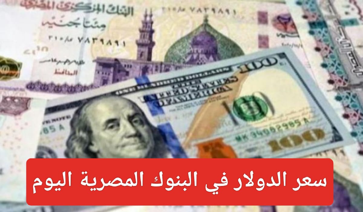 سعر الدولار مقابل الجنيه المصري اليوم