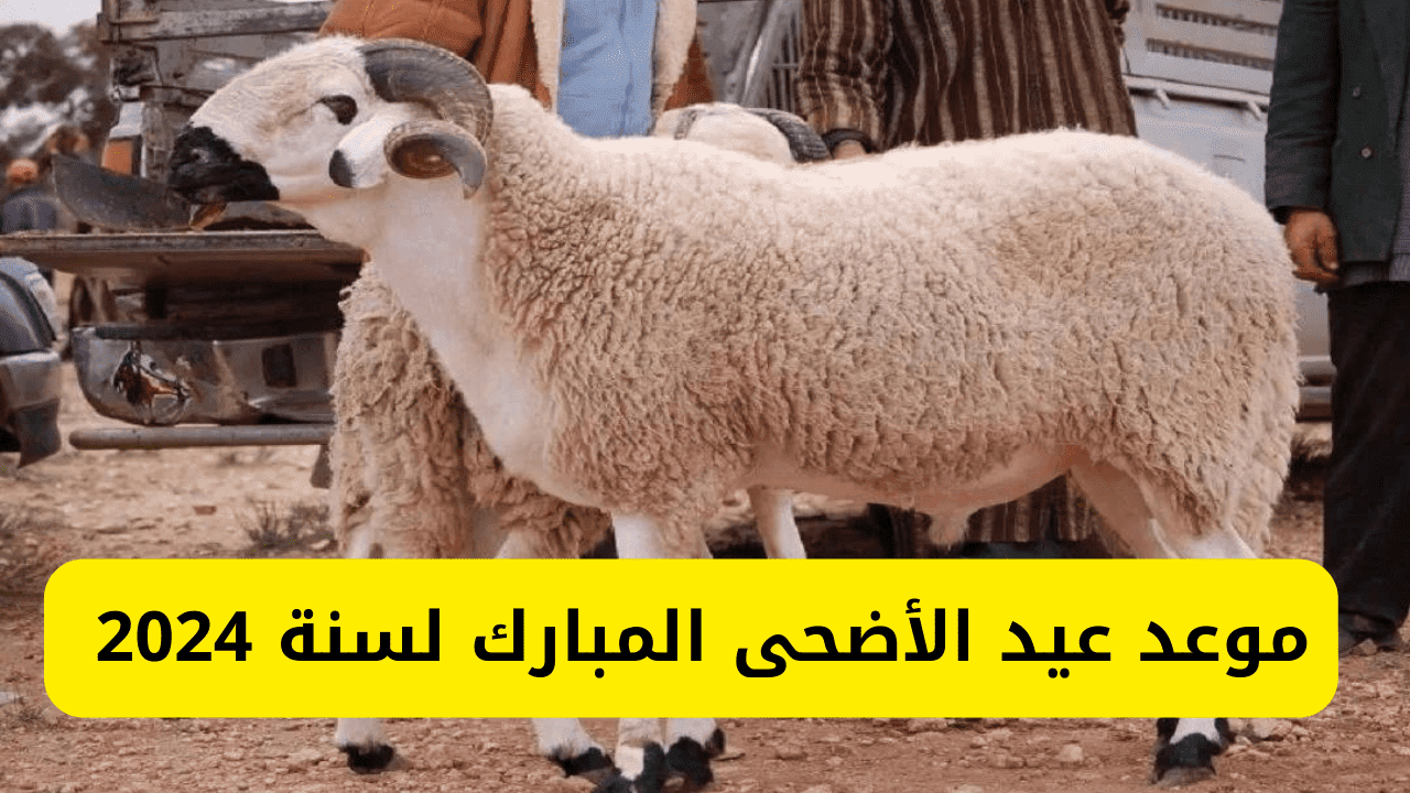 موعد وقفة عرفات