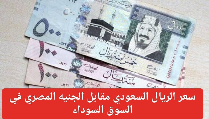 سعر الريال السعودي أمام الجنيه المصري