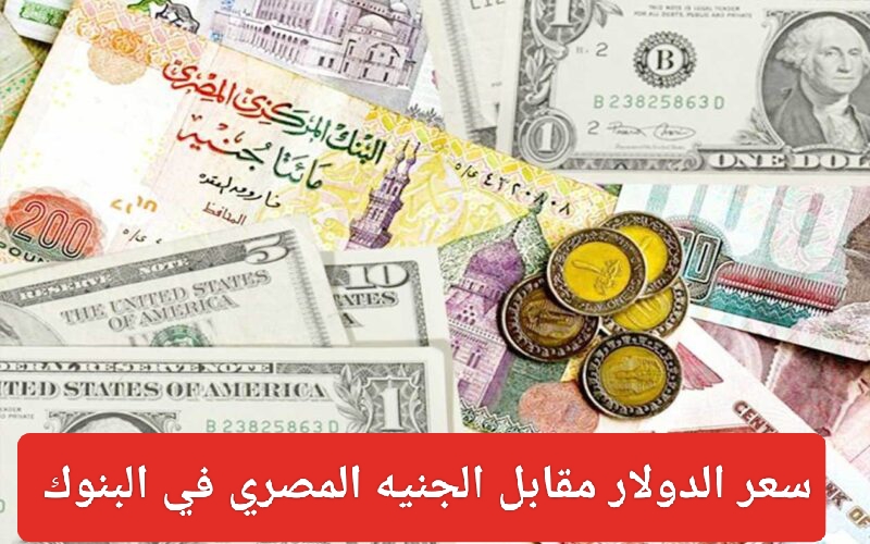 سعر الدولار مقابل الجنيه المصري اليوم