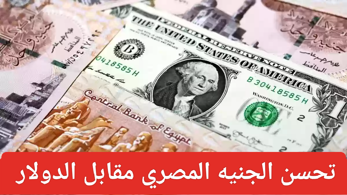 سعر الدولار اليوم في البنوك المصرية 