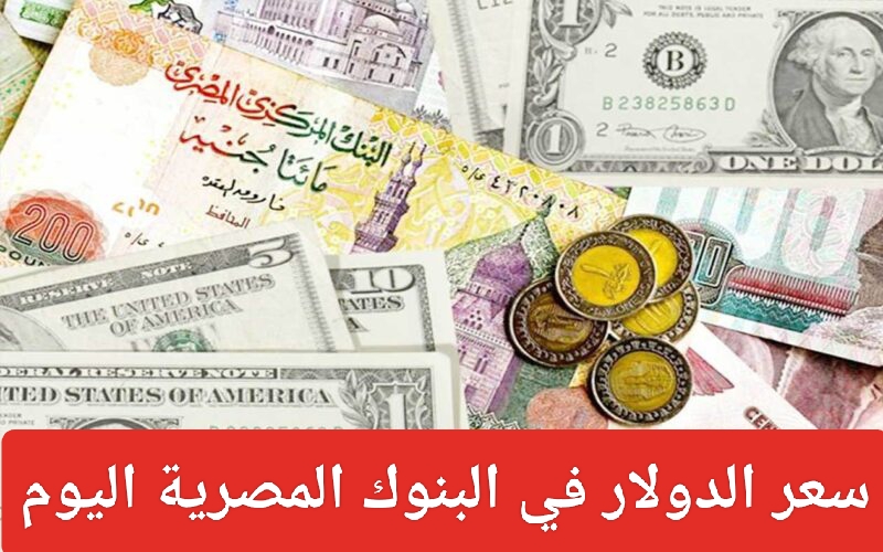 سعر الدولار اليوم في البنوك المصرية 