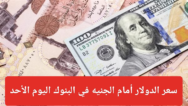 سعر الدولار الأمريكي اليوم 