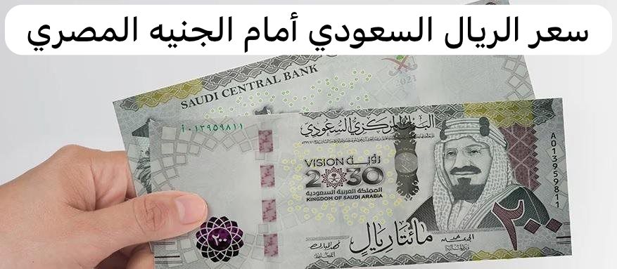 سعر الريال السعودي أمام الجنيه المصري 