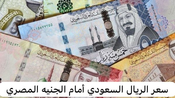 سعر الريال السعودي أمام الجنيه المصري 