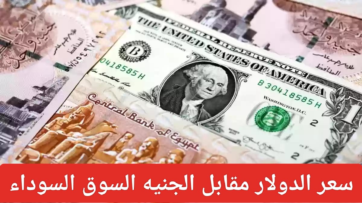 سعر الدولار مقابل الجنيه المصري اليوم